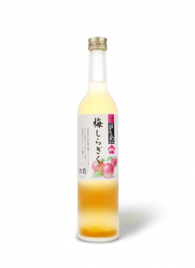 Shiragiku Umeshu Red Plum