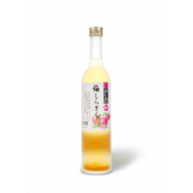 Umeshu Shiragiku Prune Verte