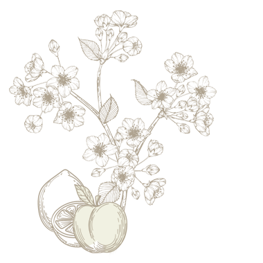 Fruits ou fleurs
